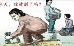 不想被割韭菜？这篇文章可以帮助小白快速了解网赚行业的套路 以及网赚行业的优点和缺点