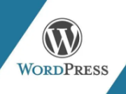 WordPress常用的文字广告、图片广告和联盟广告代码的使用方法