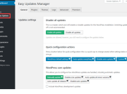 如何禁用WordPress中的自动更新