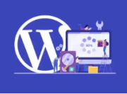 WordPress卡顿耗资源优化速度极致方案