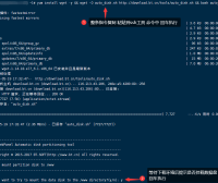 宝塔一键挂载数据盘脚本（首次安装宝塔面板如何挂载数据盘教程）