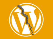 WordPress防采集办法和解决思路